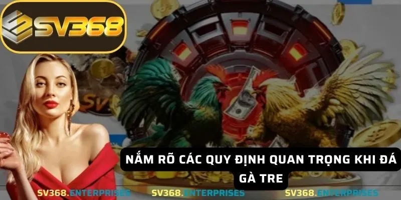 Nắm rõ các quy định quan trọng khi đá gà tre