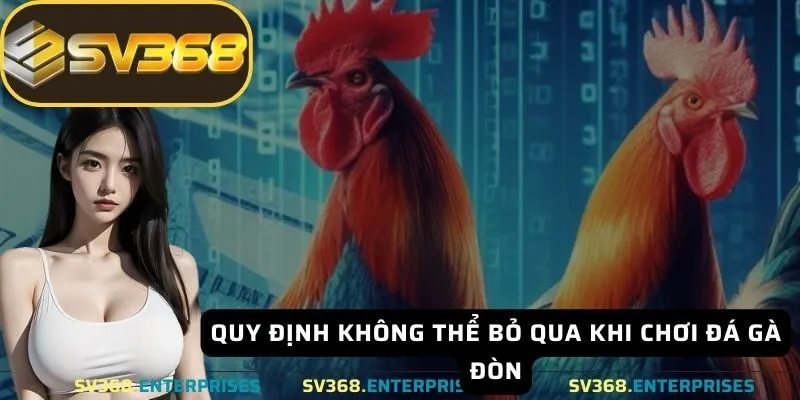 Quy định không thể bỏ qua khi chơi đá gà đòn